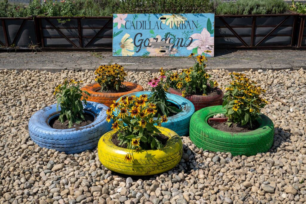 Old tires dumped in the area were painted by students and put to new uses at the Cadillac Urban Gardens. Image credit: Eric Bronson, Michigan Photography