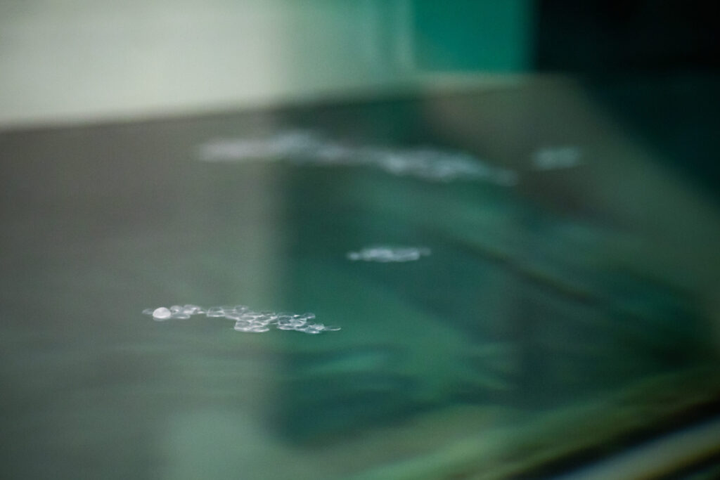 Microplastic pellets float on the surface of water in the wind wave tank at the U-M Marine Hydrodynamics Laboratory as part of a study to determine how they affect measurements of surface roughness. Image credit: Robert Coelius, Michigan Engineering