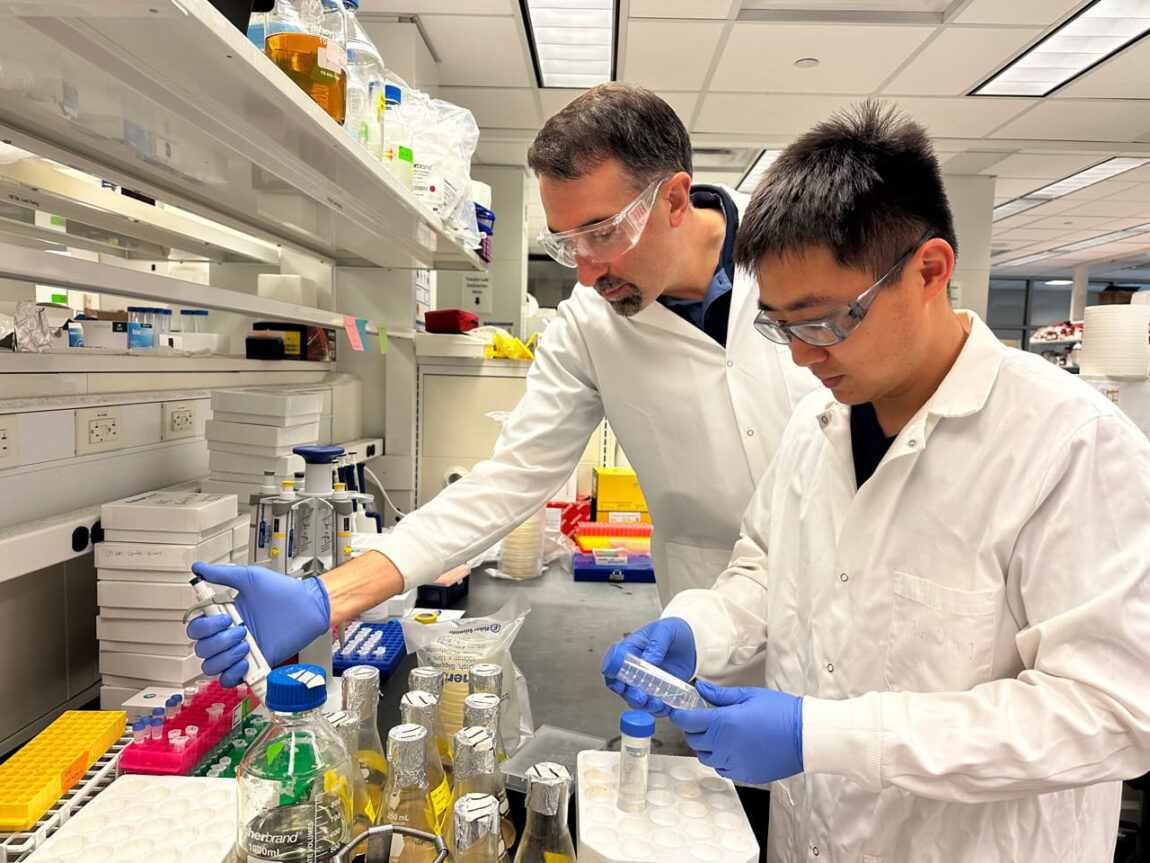 A photo of a professor and a doctoral student in white coats preparing antibodies for testing.