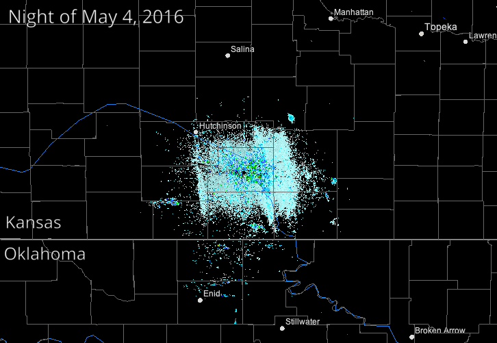GIF animation of birds taking off near a NEXRAD Doppler radar station in Wichita, Kansas. Nocturnal migratory birds depart for migration in the evening. On a night of heavy migration, they will appear as a cloud around the radar station. Animation by Kyle Horton
