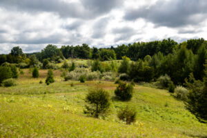 Various views of the Arnold Farm in Brooklyn, Michigan. Image credit: Eric Bronson, Michigan Photography