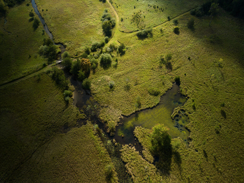 Aerial view of the prairie fen at the Arnolds' Farm in Brooklyn, Michigan. Image credit: Eric Bronson, Michigan Photography