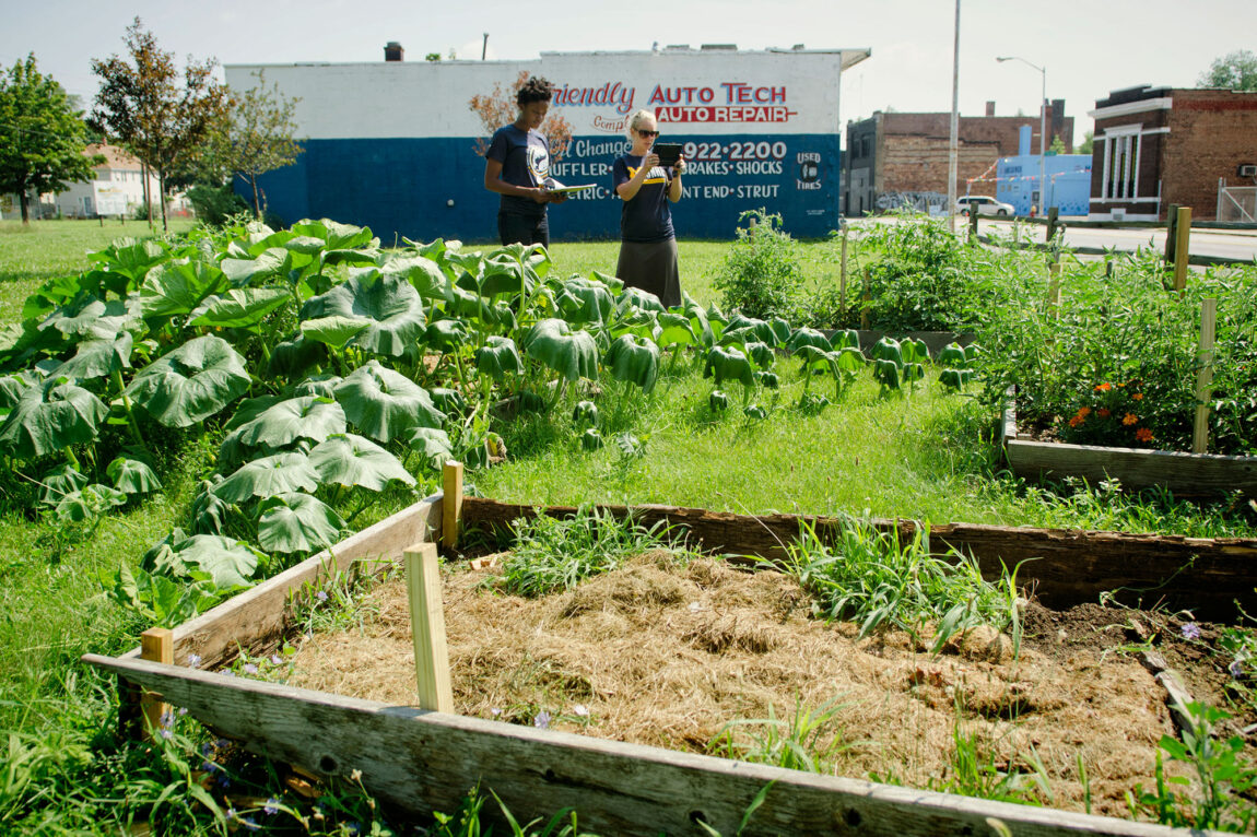 Photo of two U-M researchers evaluating an urban garden in Detroit.