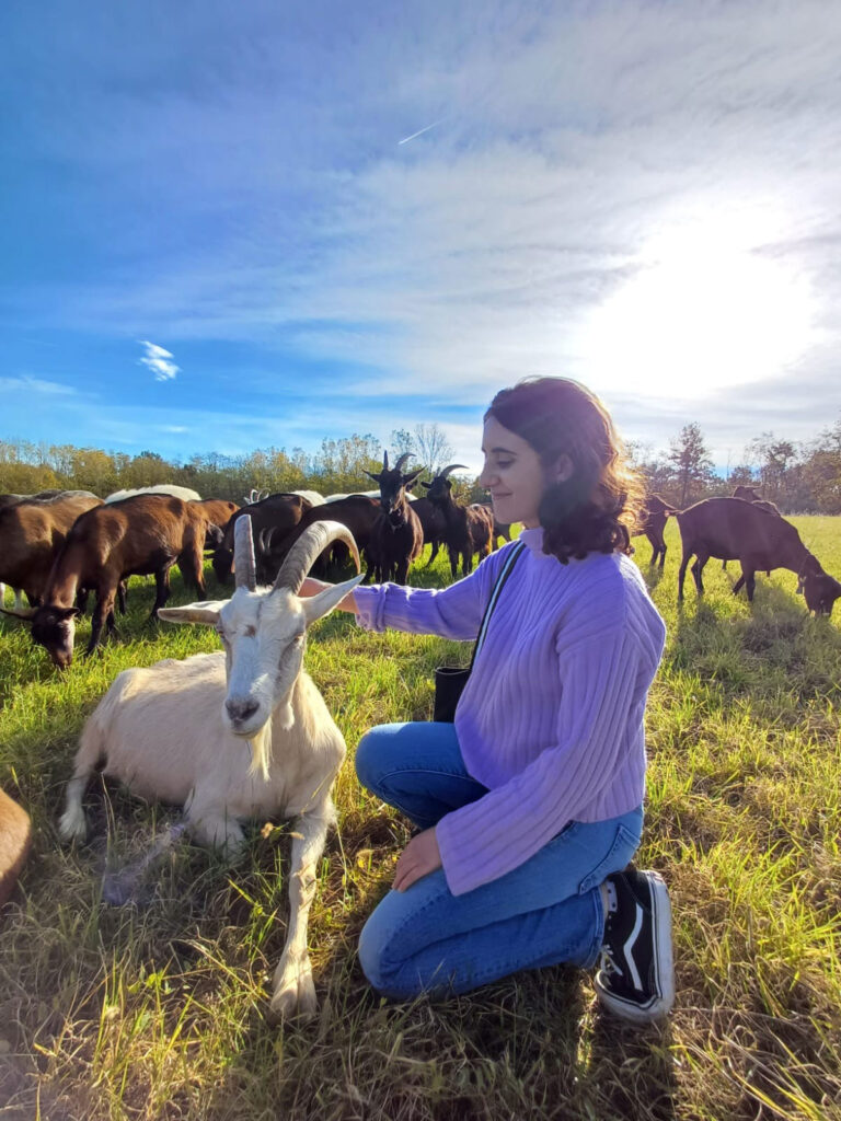 A photo of a woman kneeling next to an animal