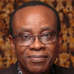 A photo of Nnimmo Bassey