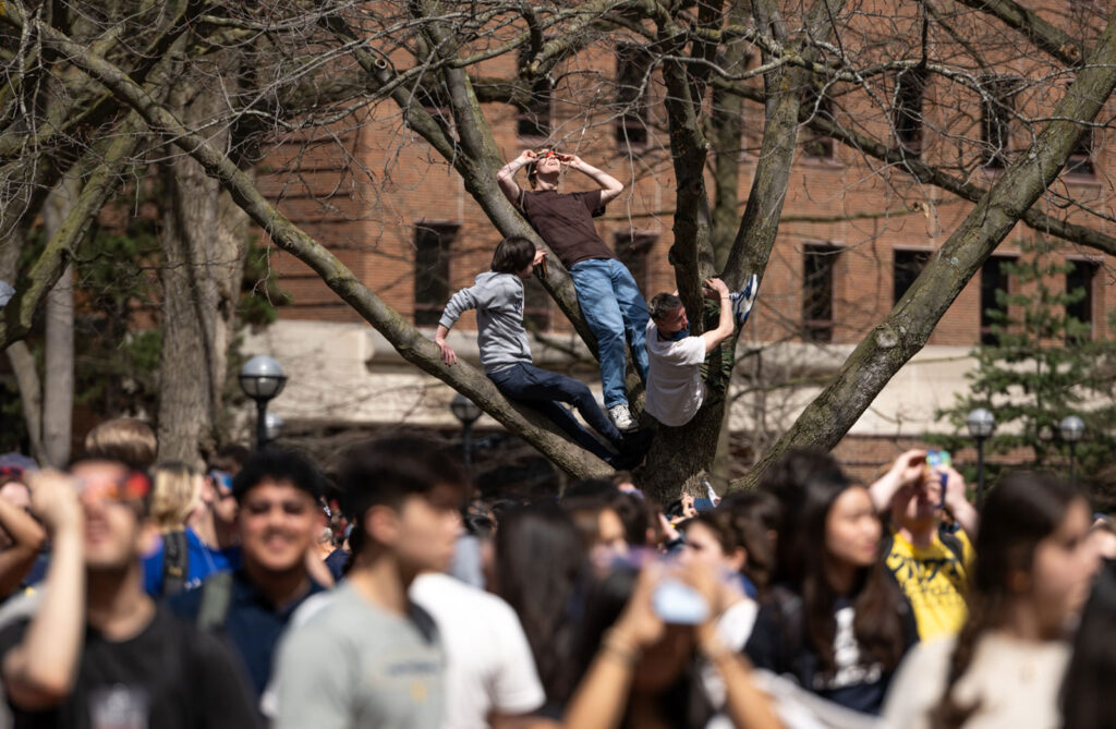 Photo of three men in a tree watching the eclipse