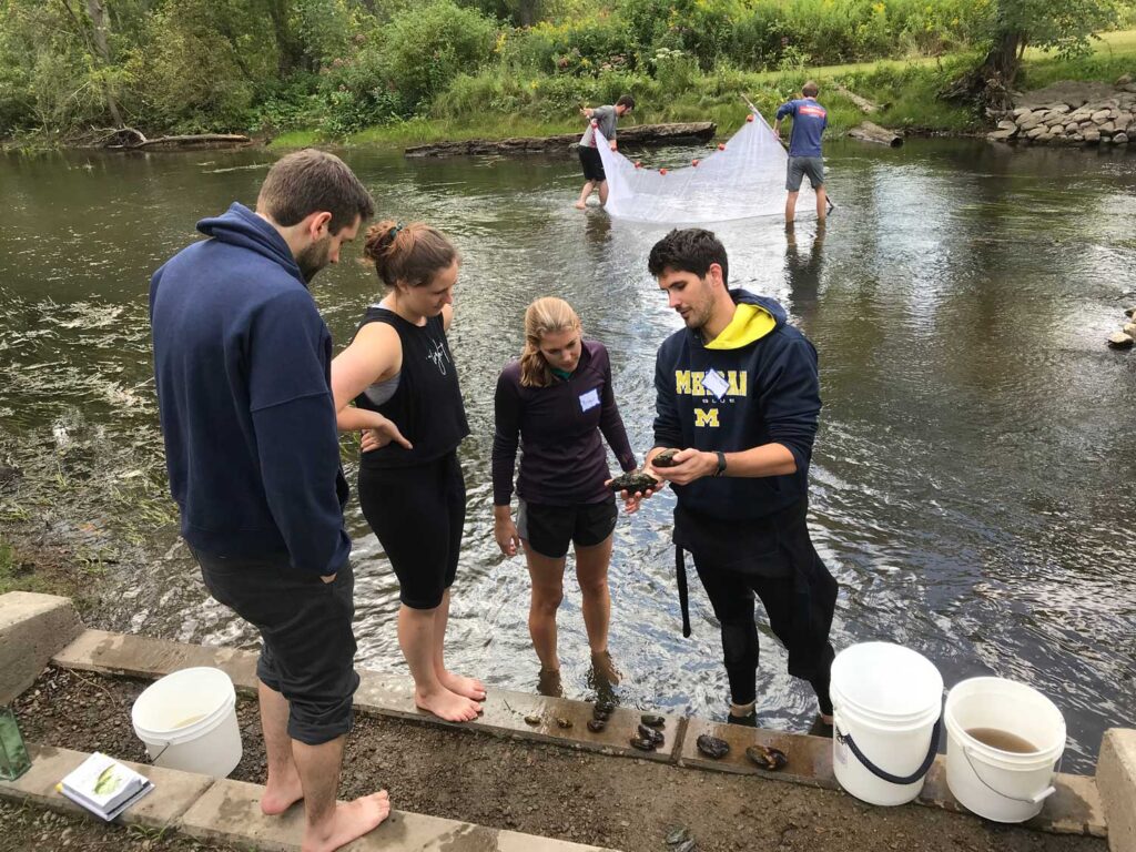 Recent University of Michigan graduate Trevor Hewitt, right, identifying River Raisin freshwater mussels. Hewitt is the lead author of a newly published study about mimicry lures in freshwater mussels called wavy-rayed lampmussels. Image credit: Diarmaid O'Foighil, University of Michigan