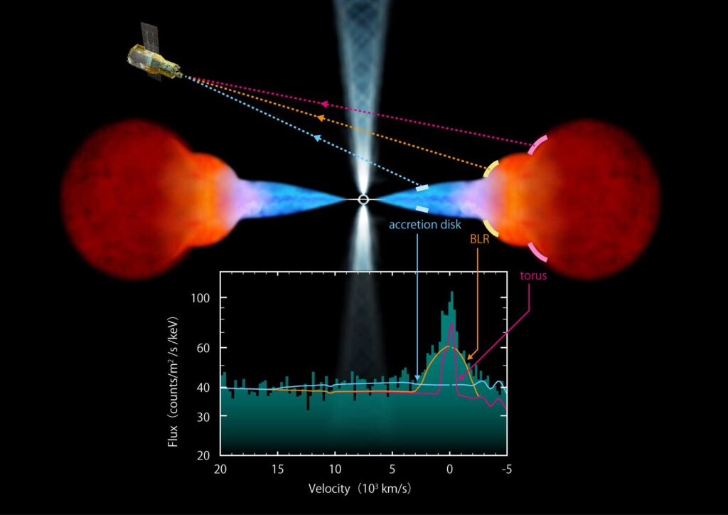 A cross section of an active galactic nucleus and its different components. A accretion disk extends out from a central black hole, getting thicker towards its outer edge. The accretion disk bulges into a broader red broad-line region, which is surrounded on its outside by a larger, donut-shaped torus. An inset shows that the X-ray spectra taken by XRISM look different for each region.