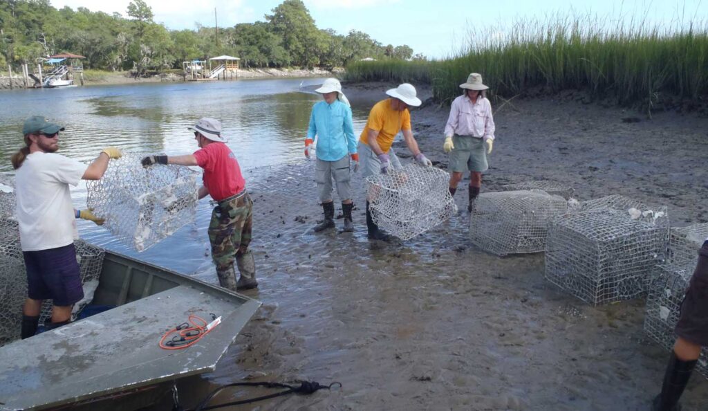 Five people wearing boots, gloves and hats stand at the damp edge of an estuary handling wire mesh containers used in a shoreline restoration project.