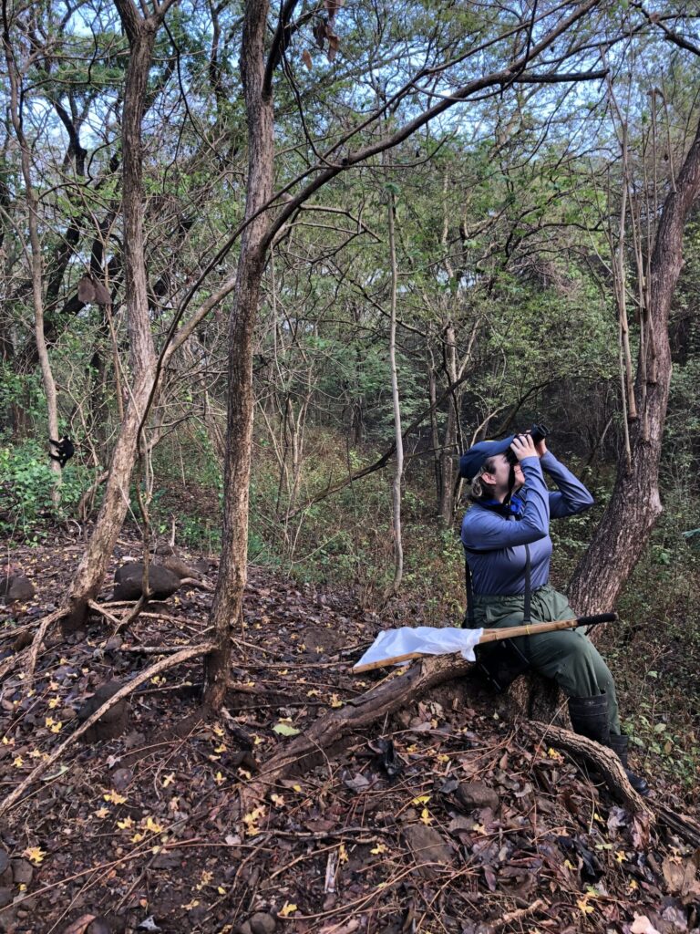 University of Michigan doctoral student Jordan Lucore looks for capuchin monkeys in the Taboga forest reserve of Costa Rica. The monkeys are tracked as part of the Capuchinos de Taboga Research Project.