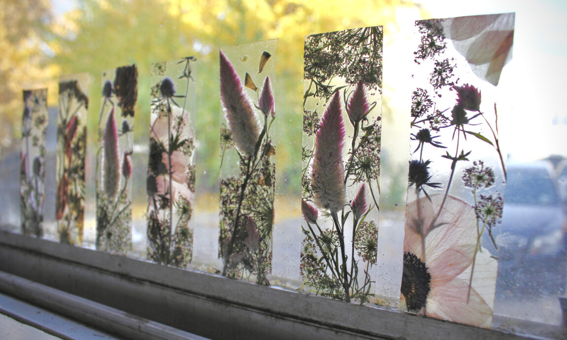 A photo of a series of bookmarks featuring pressed flowers