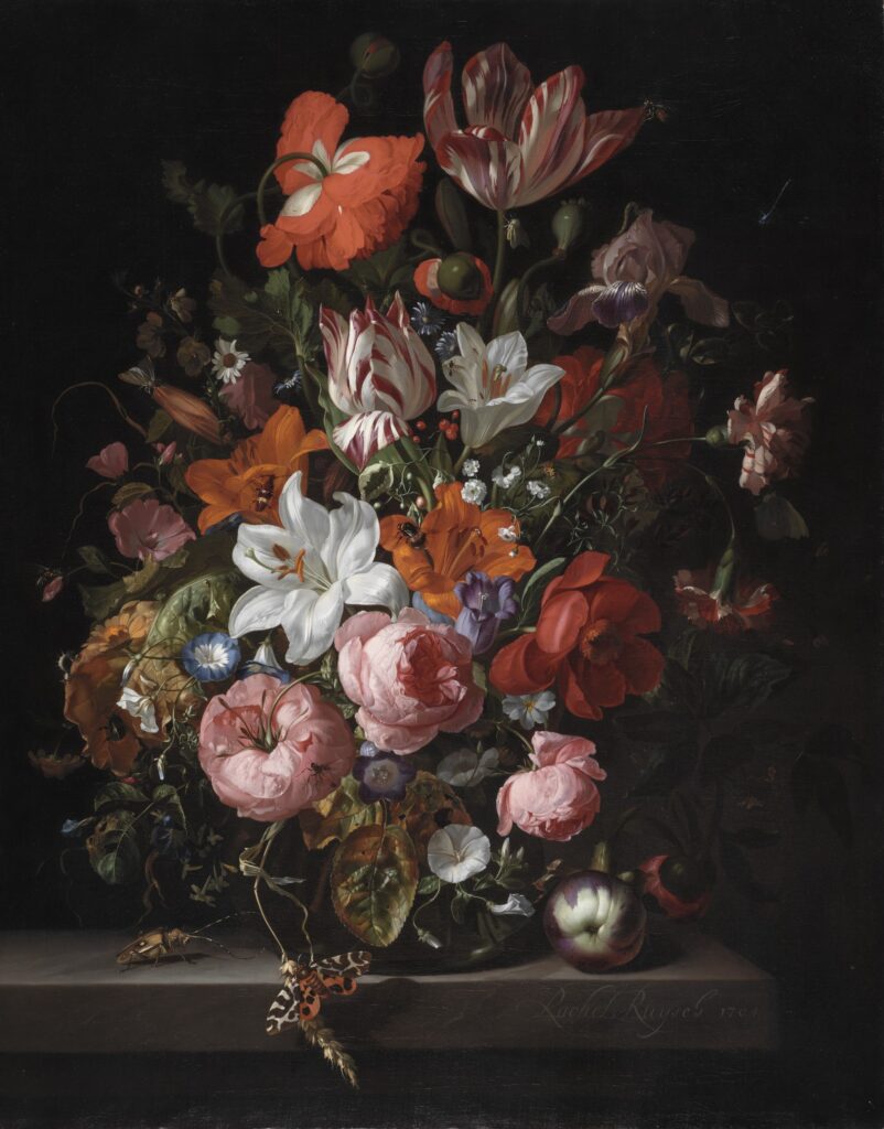 Rachel Ruysch, "Flowers in a Glass Vase." The painting is part of the exhibit Rachel Ruysch: Nature into Art at the Toledo Museum of Art. As part of the exhibit, which runs until July 26, University of Michigan lent 79 insect specimens, five amphibian and reptile specimens, and 10 plant specimens to display alongside the paintings. Image courtesy: Toledo Museum of Art