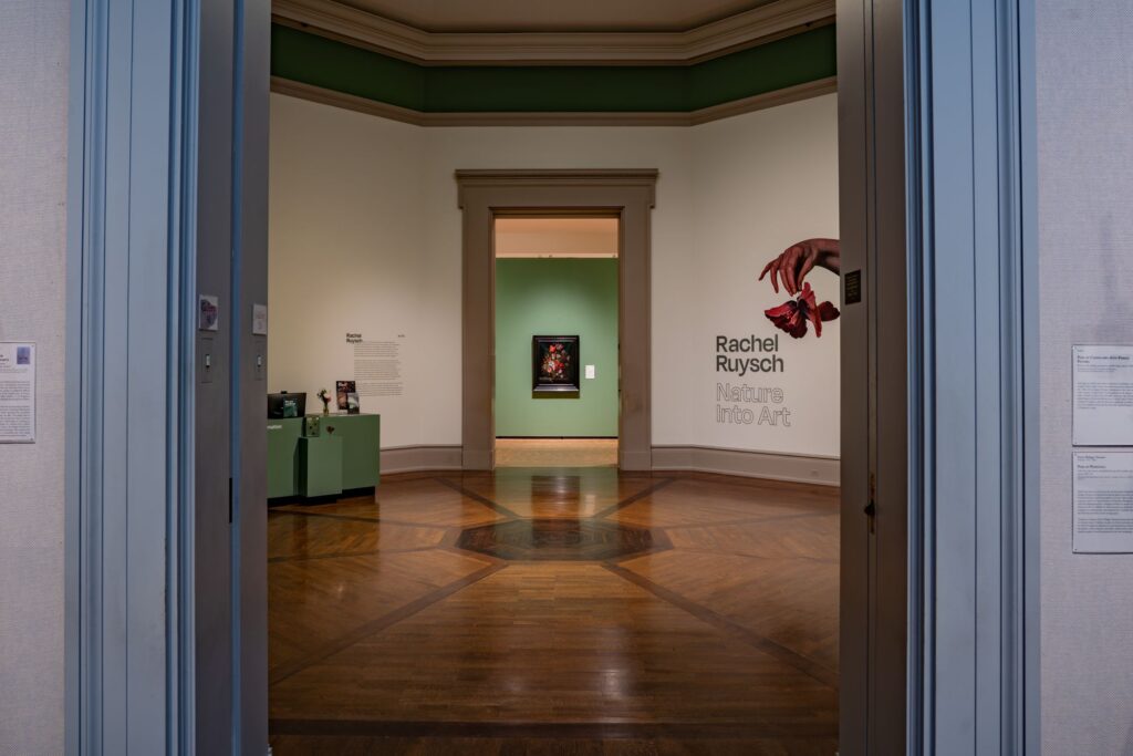 As part of the exhibit called Rachel Ruysch: Nature into Art at the Toledo Museum of Art, the University of Michigan lent 79 insect specimens, five amphibian and reptile specimens, and 10 plant specimens to display alongside the paintings. The exhibit runs until July 26. Image courtesy: Toledo Museum of Art