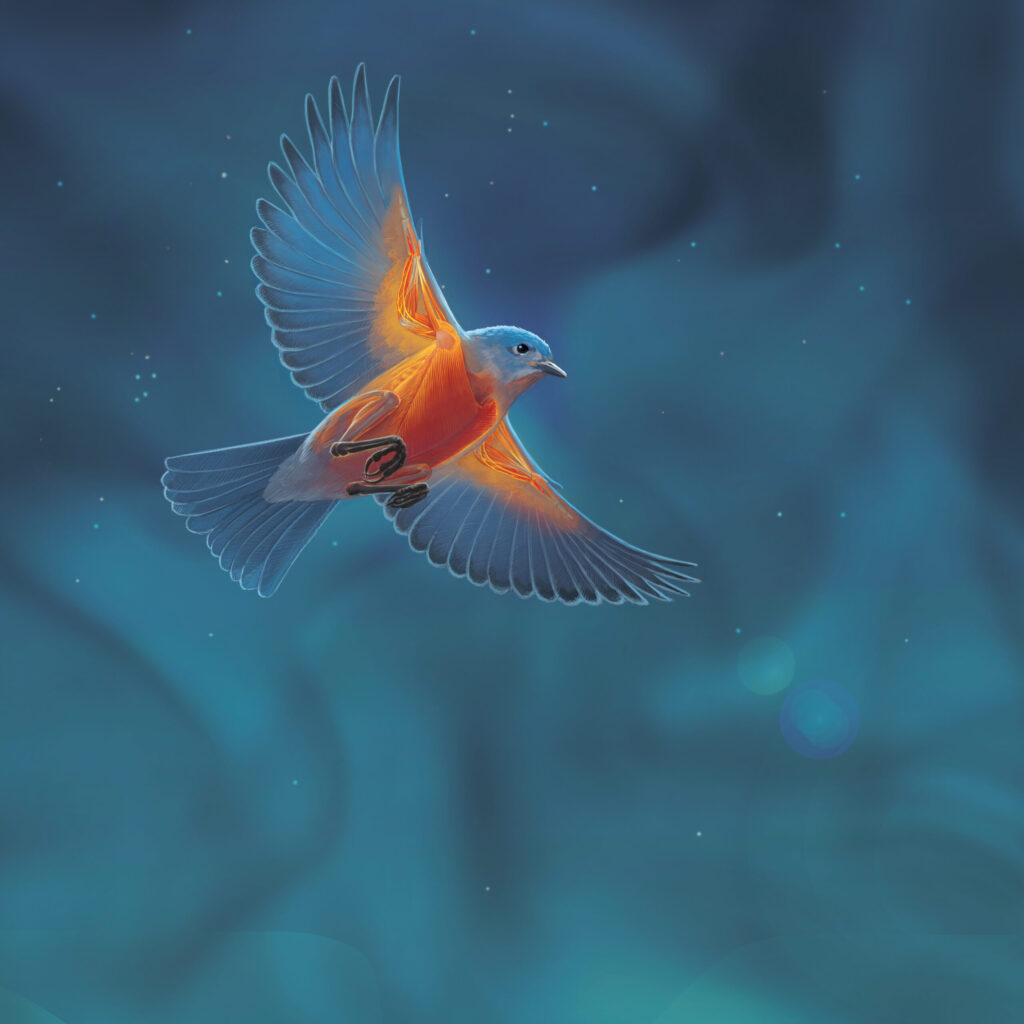 The skeletal structure within the outstretched wings of a bird are visible in orange in this illustration. The bird is flying against a background of blue and green swirls. 