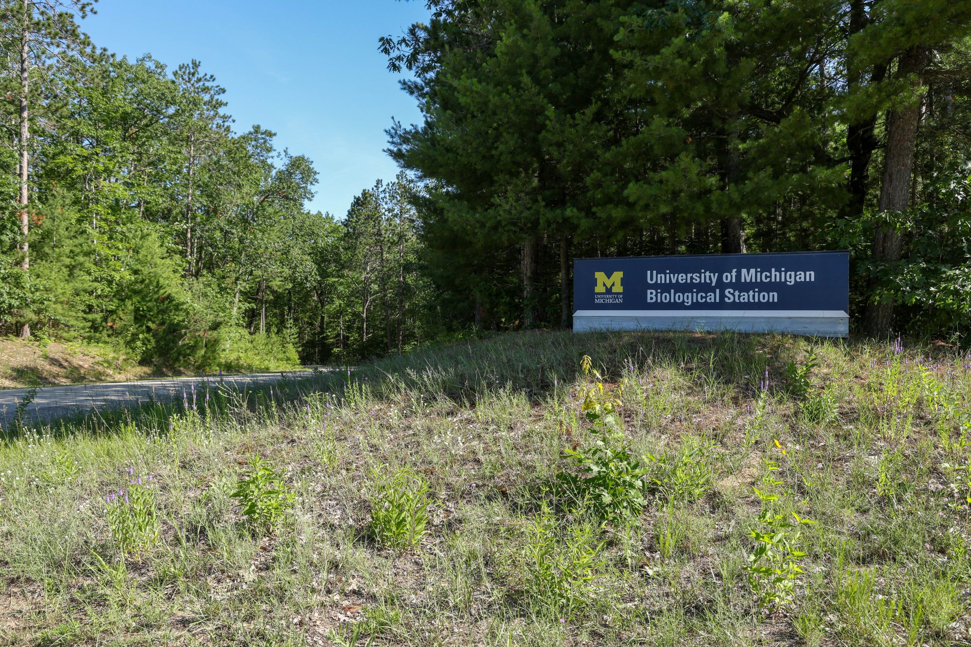 U-M Biological Station in Pellston. Image credit: Jeremy Marble, University of Michigan News