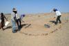 Pushbrooming and collecting the dirt the juvenile mandible discovery area for sifting. Image credit: Stephanie Melillo