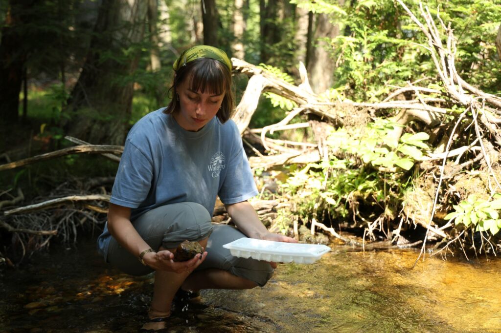 Mira Hughes, a U-M student, measures water quality of Elliot Creek in Cheboygan.
