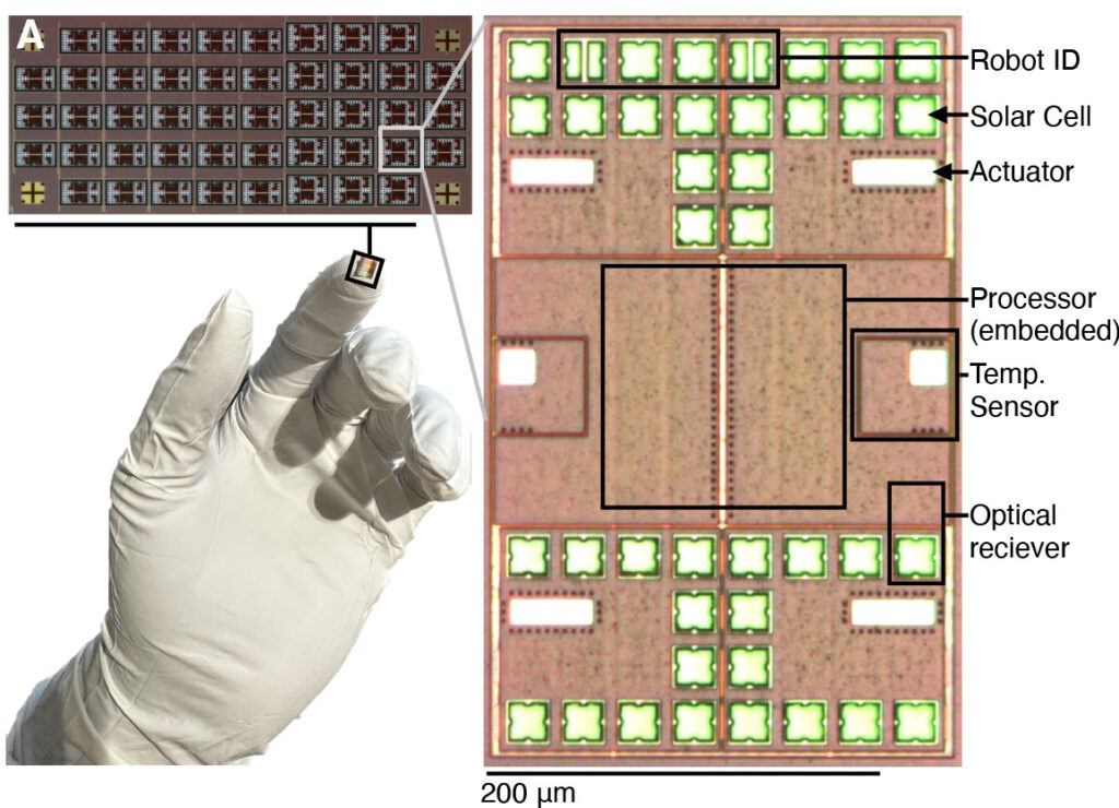 In the bottom left, a white gloved hand holds a rectangle with tiny, dark details on the tip of the index finger. In the first inset, 66 rectangles are printed with electronics, and 18 of these are identical to the one featured in the next inset. In the detailed view of the top of the microbot, 16 green-outlined squares are the solar cells/optical sensors and two actuators that look like white rectangles make up the top third. The middle third is composed of the square processor in the center and a temperature sensor on each side. The bottom third contains 20 more solar cells/optical sensors and two more actuators.