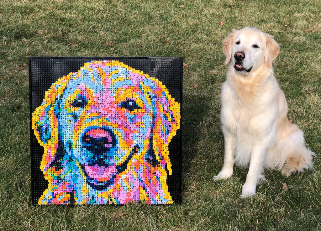 A golden retriever sits on grass next to a colorful LEGO mosaic of the dog