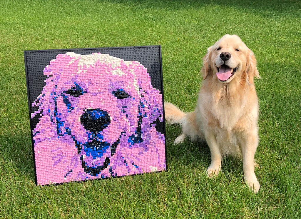 A golden retriever sits on grass next to a colorful LEGO mosaic of the dog