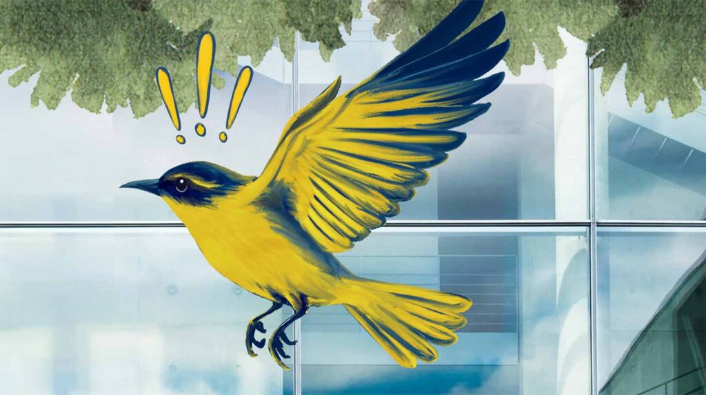 Collage illustration of a bird being alerted to the presence of windows so it can avoid collision. Image courtesy: U-M Arts Initiative