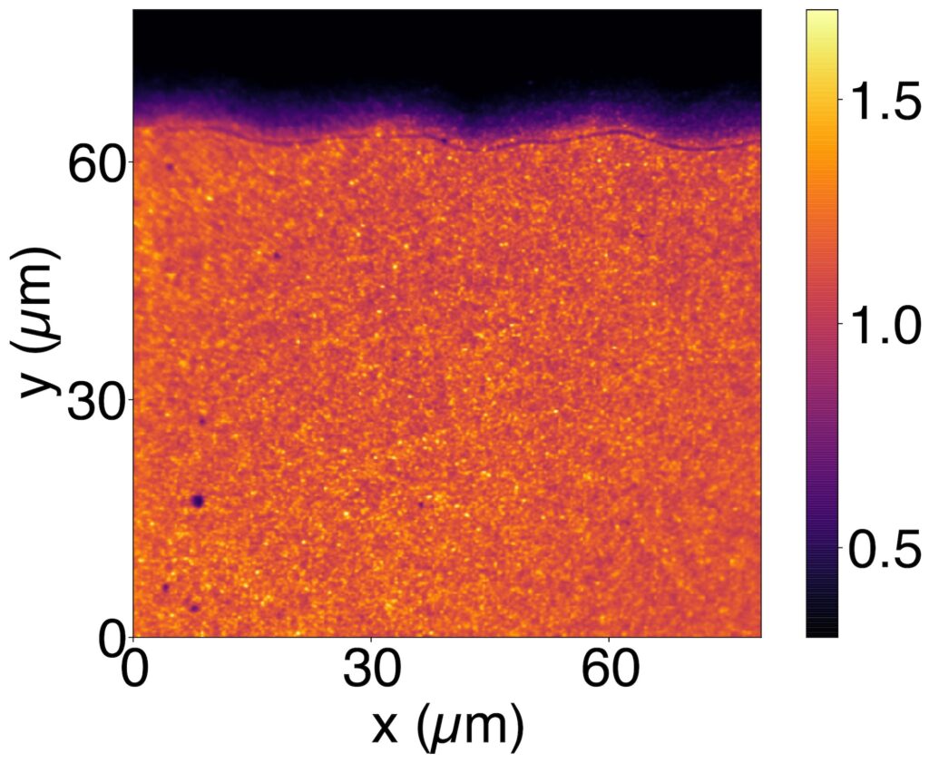 Rather than the smooth distribution of light emission seen when the light-emitting molecules react to a black light, the pattern of light emission is grainy when the OLED shines under electrical power. Image credit: Joshua Springsteen, Optoelectronic Components and Materials Group, University of Michigan.