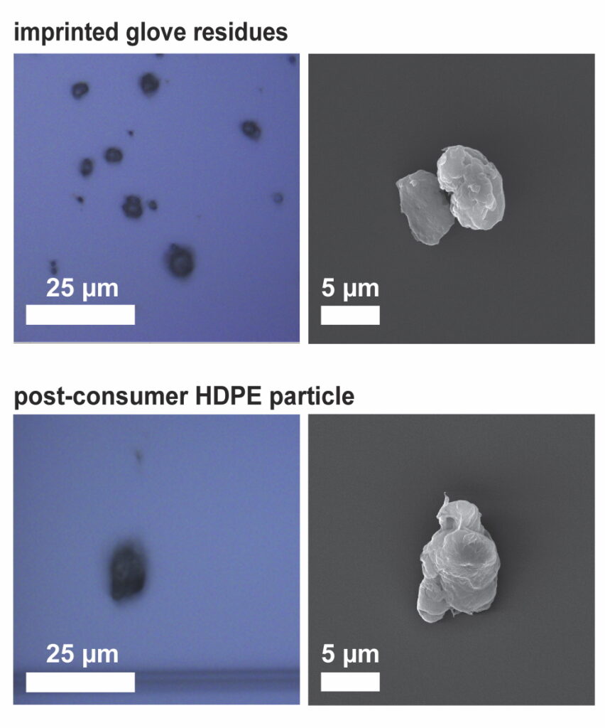 Residue from nitrile or latex gloves may unintentionally contaminate lab equipment scientists use to measure microplastics in air, water and other samples with non-plastic particles called stearates. Stearates, a kind of salt, are chemically similar at the structural level to microplastics. They also look similar visually. Image credit: Madeline Clough/University of Michigan