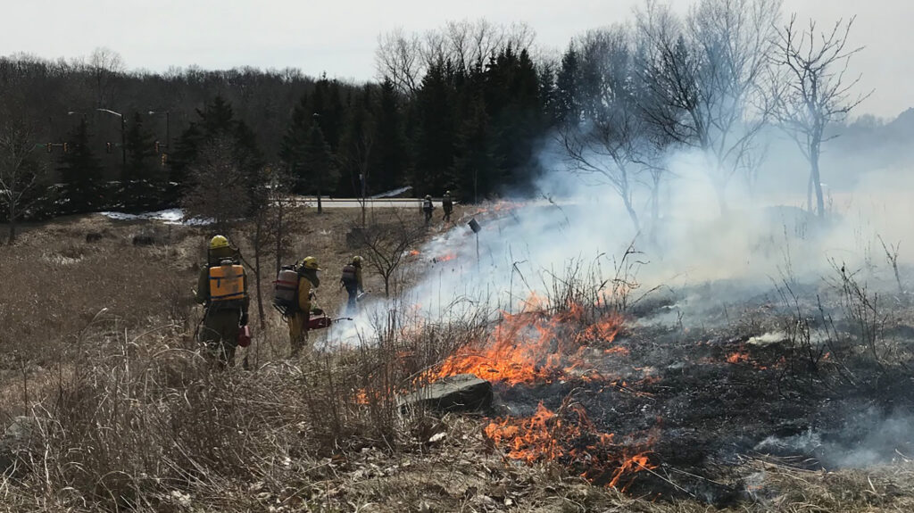 Several people in fire gear monitor a controlled fire in a natural area