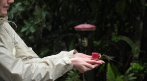 U-M students visit a hummingbird farm around Quito.