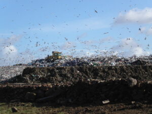 A large bulldozer sits on a large pile of garbage. Many seagulls crowd the skies above the landfill.