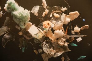 Close up of microplastics display from the All the Plastic You Cannot See exhibit at University of Michigan Museum of Natural History. Image credit: Jeremy Marble, University of Michigan News