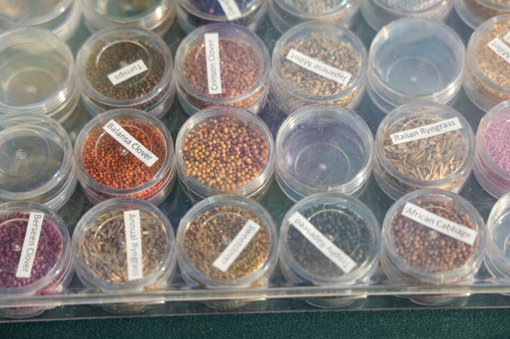Different types of seeds used for cover crops. Image credit: Jeremy Marble, University of Michigan News