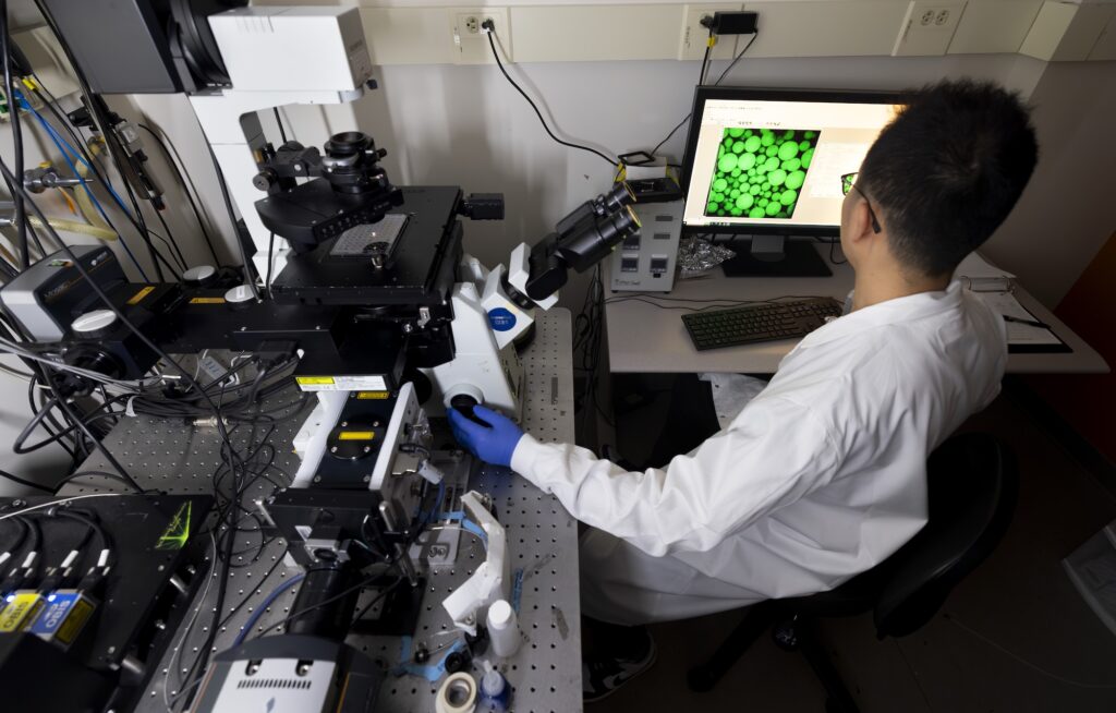 Researcher in a white lab coat and blue gloves sits at a lab bench operating a microscope and viewing a computer monitor showing a microscopy image of green overlapping circles representing tardirade proteins.