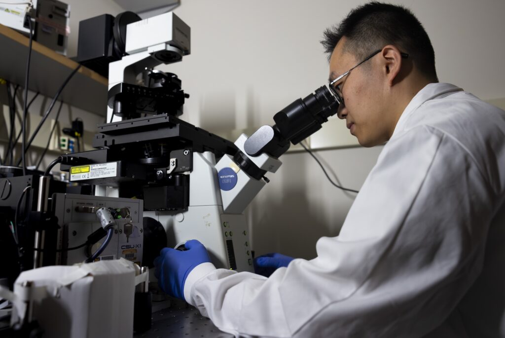 Researcher in a white lab coat and blue gloves sits at a lab bench operating a microscope and viewing a computer monitor showing a microscopy image of green overlapping circles representing tardirade proteins.