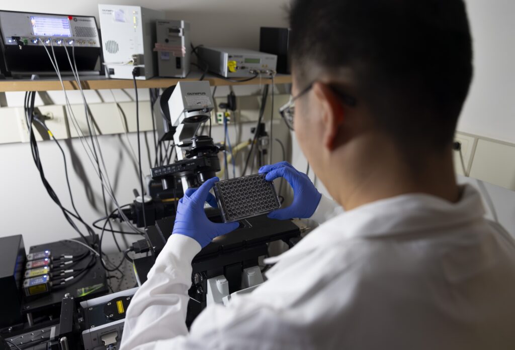 Yongkang Xi, Research Fellow for Mechanical Engineering, observes a plate containing samples of tardigrade proteins before placing them under a microscope at GG Brown on North Campus of the University of Michigan in Ann Arbor, MI on April 22, 2026. Image credit: Jeremy Little, Michigan Engineering