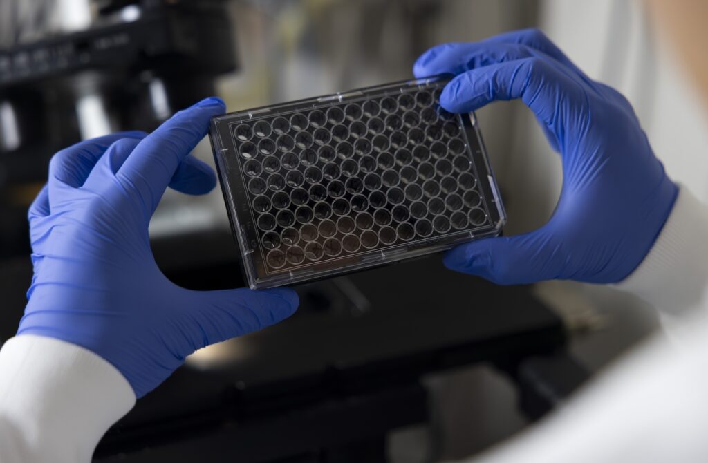 Yongkang Xi, Research Fellow for Mechanical Engineering, observes a plate containing samples of tardigrade proteins before placing them under a microscope at GG Brown on North Campus of the University of Michigan in Ann Arbor, MI on April 22, 2026. Image credit: Jeremy Little, Michigan Engineering