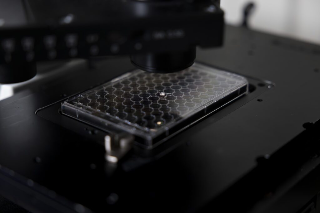 A plate containing samples tardigrade proteins sits underneath a microscope at GG Brown on North Campus of the University of Michigan in Ann Arbor, MI on April 22, 2026. Image credit: Jeremy Little, Michigan Engineering